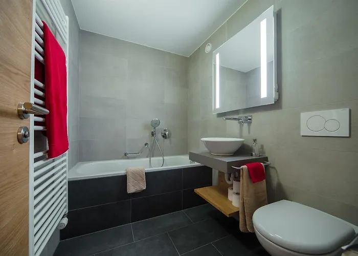 公寓 Riffelberg 采尔马特